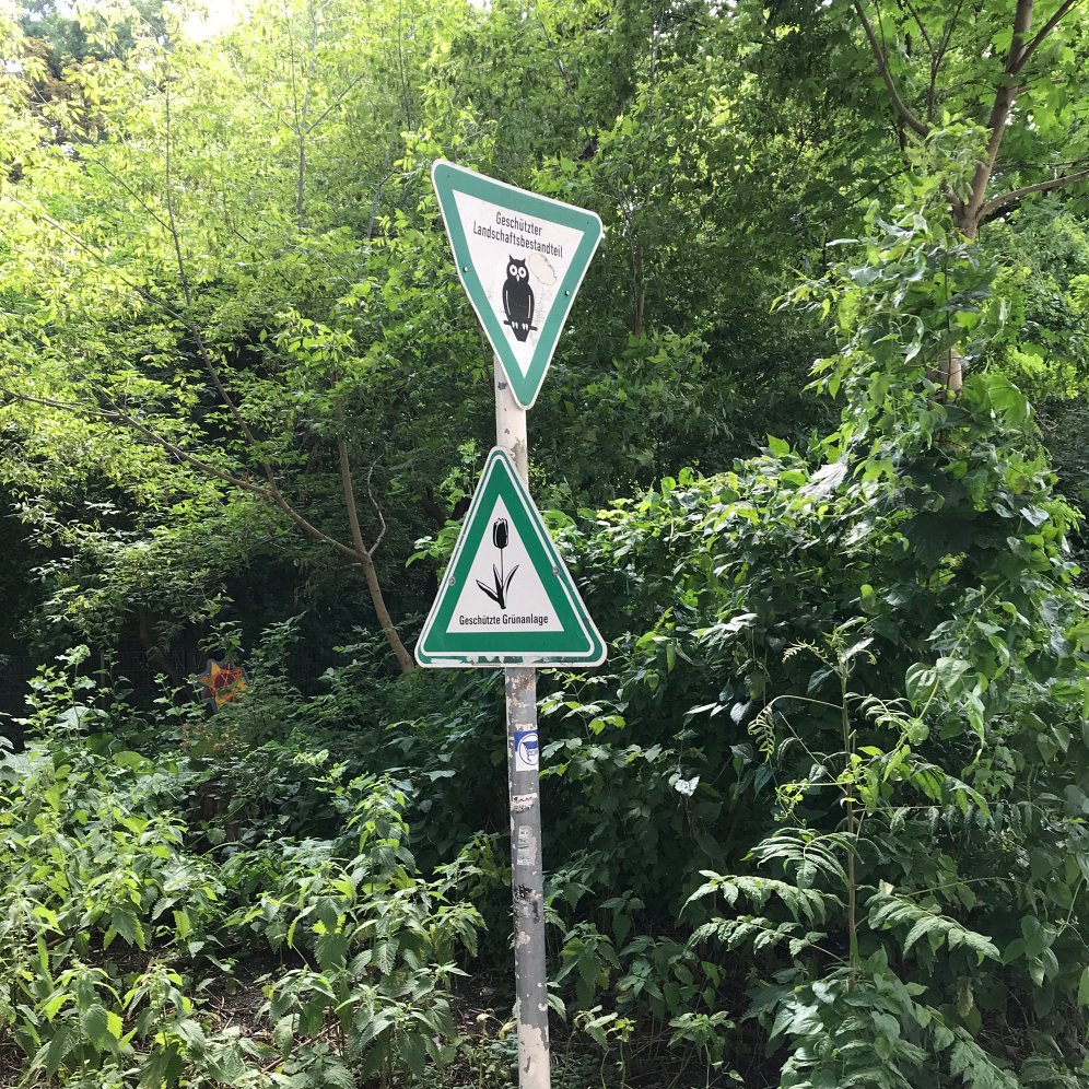 Berliner Pflanze