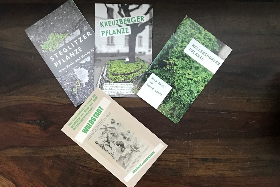 kreuzbergerpflanze01